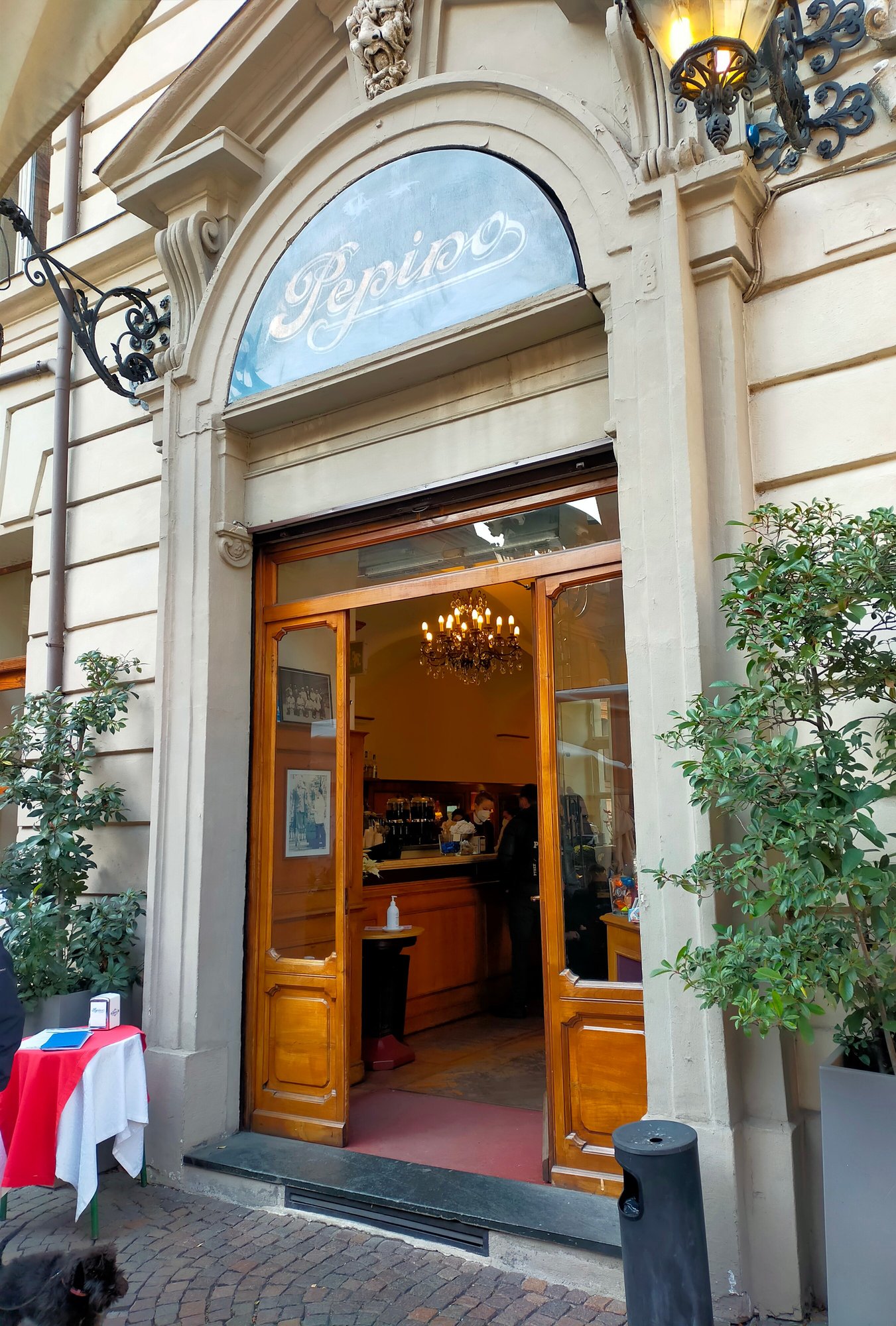Pepino 1/1