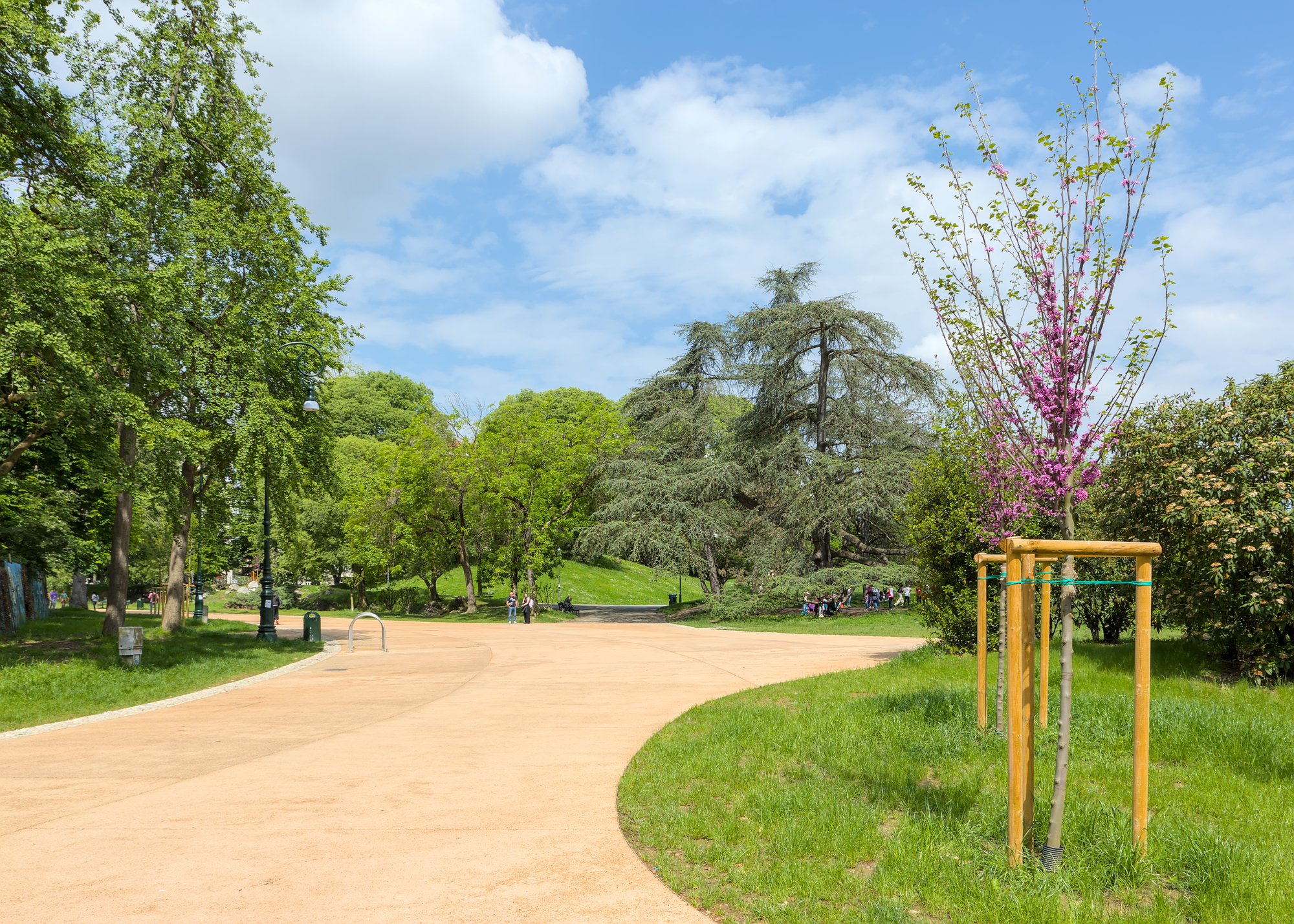 Parco del Valentino 1/1